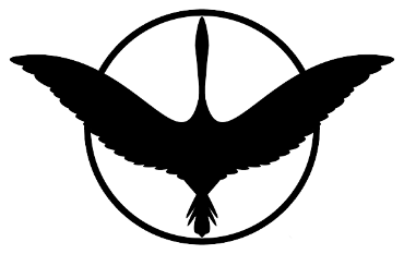 Sarus Aerospace